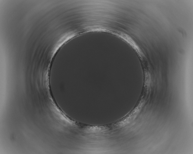 X0000111680806200907311218