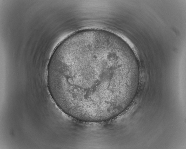 X0000111680807200907311218