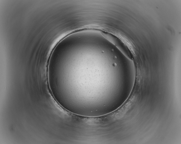 X0000111680808200907311218