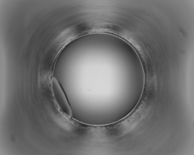 X0000111680809200907311218