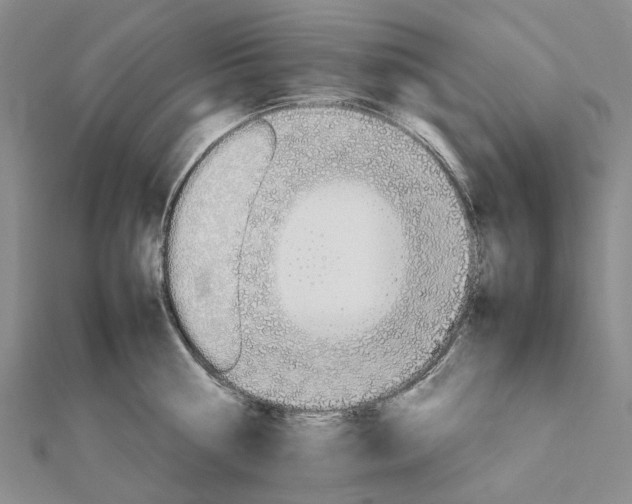 X0000111680810200907311218