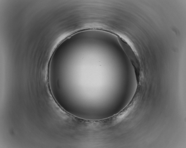 X0000111680815200907311218