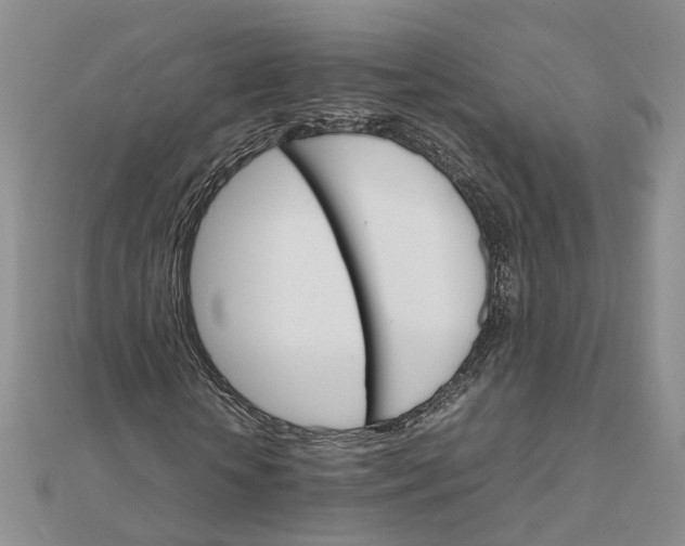 X0000111680818200907311217