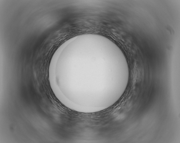 X0000111680820200907311217