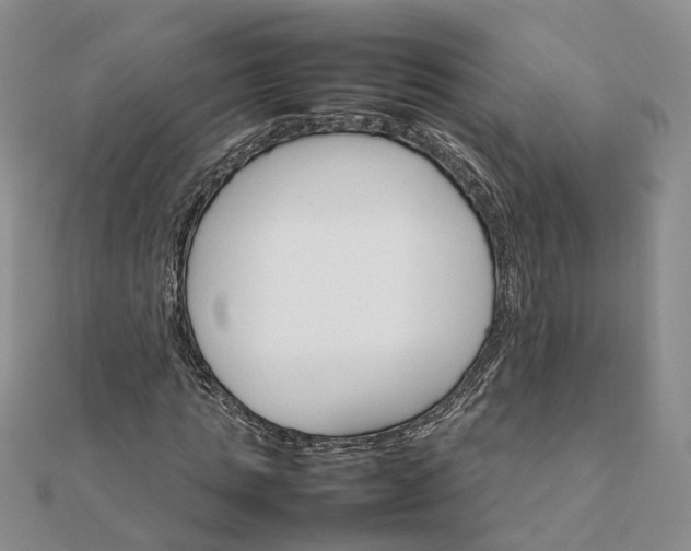 X0000111680821200907311217