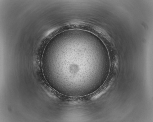 X0000111680822200907311217