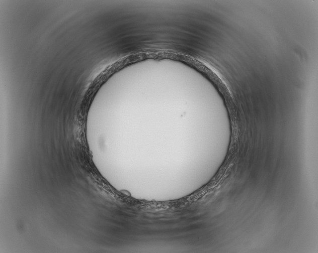 X0000111680823200907311217