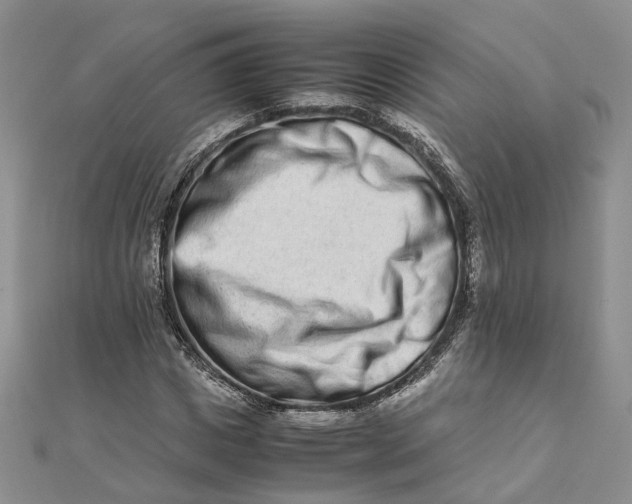 X0000111680825200907311217