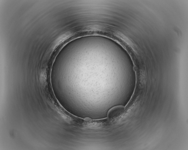 X0000111680826200907311217