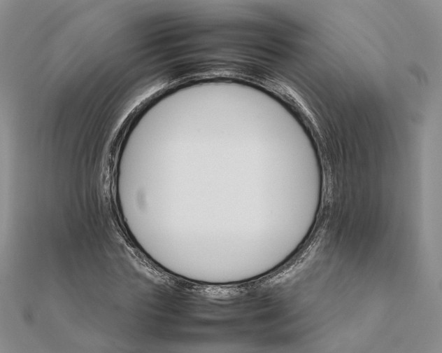 X0000111680827200907311217