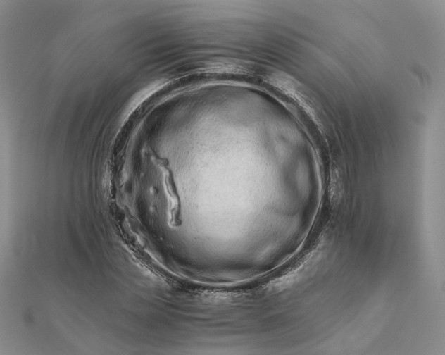 X0000111680829200907311217