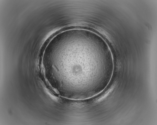 X0000111680830200907311218