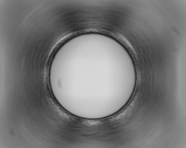 X0000111680831200907311218