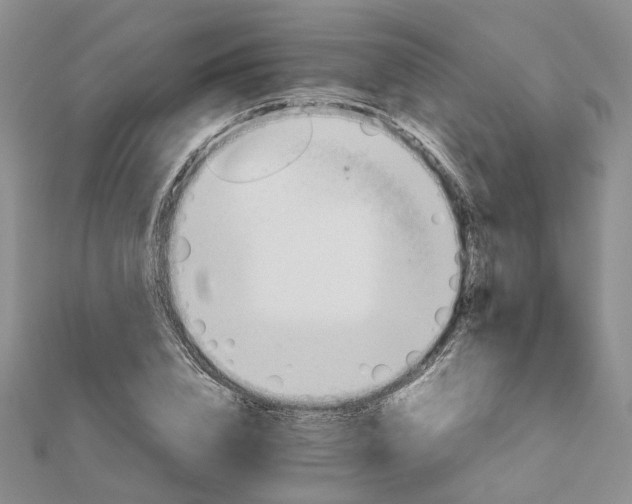 X0000111680832200907311218