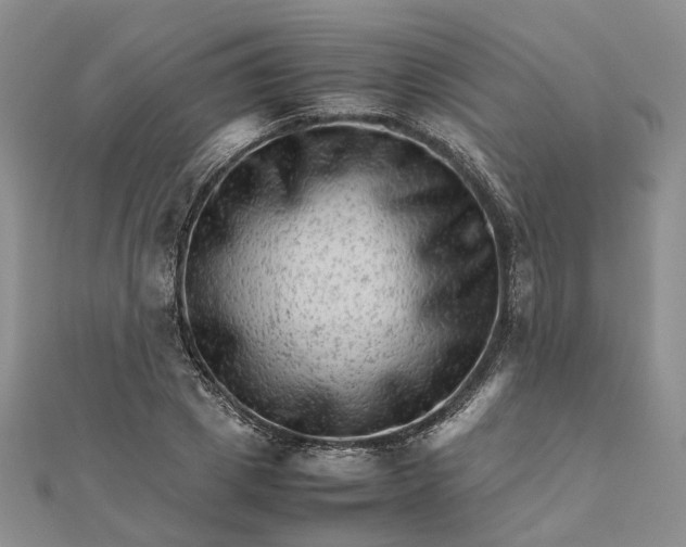 X0000111680833200907311218