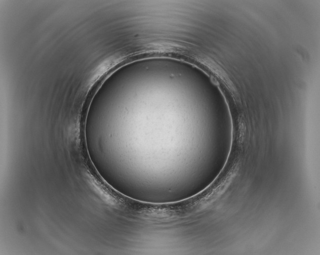 X0000111680834200907311218