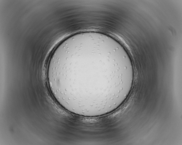 X0000111680835200907311218