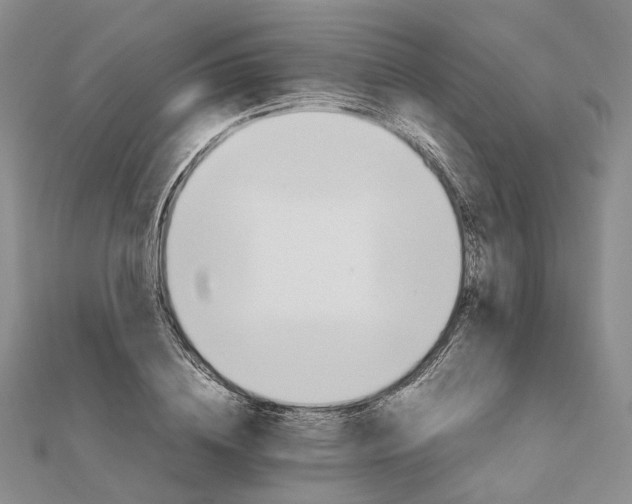 X0000111680836200907311218