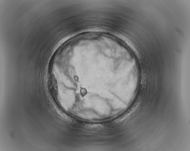 X0000111680837200907311218