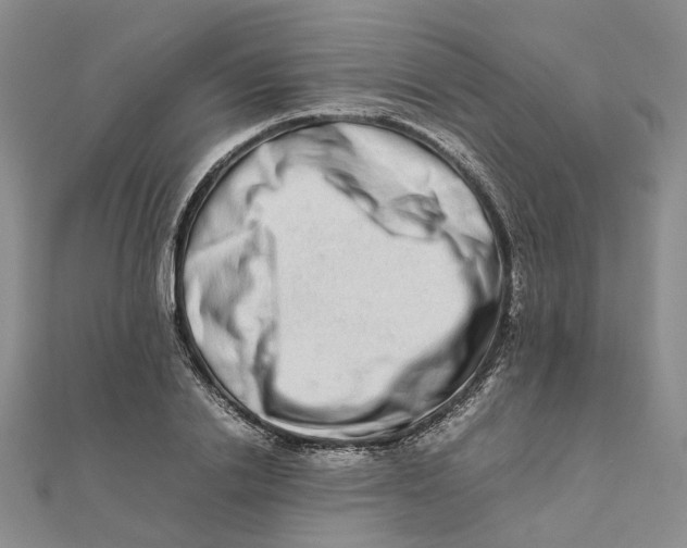 X0000111680838200907311218