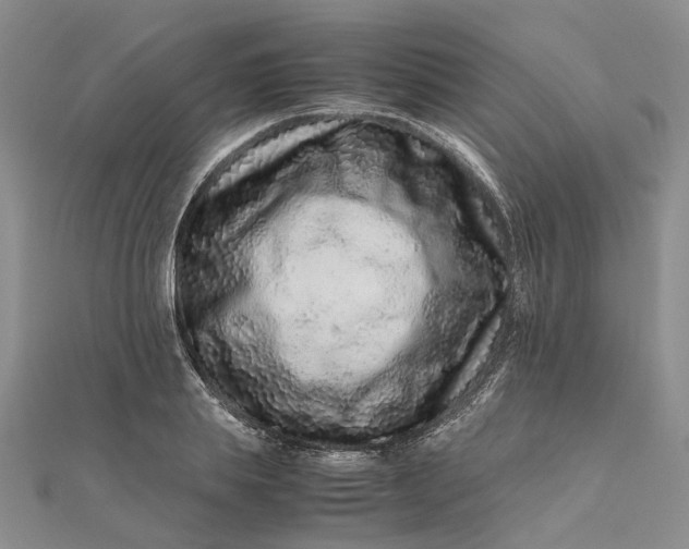 X0000111680839200907311218