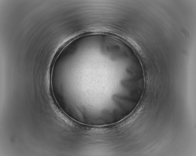 X0000111680840200907311218