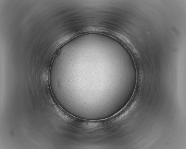 X0000111680841200907311218