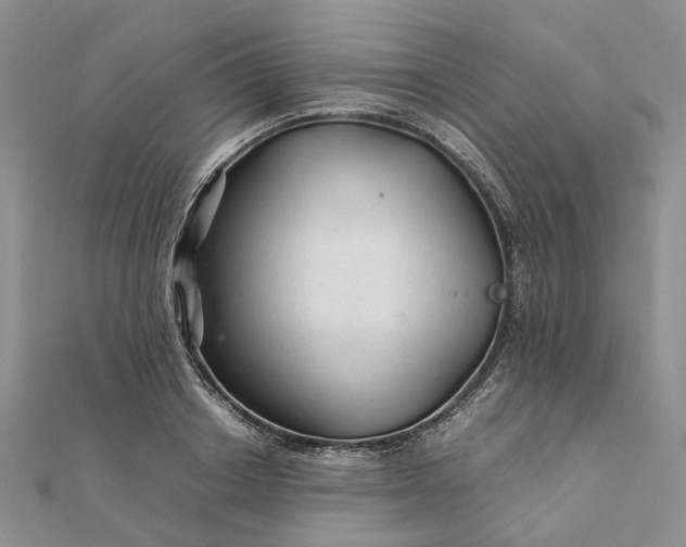 X0000111680842200907311218