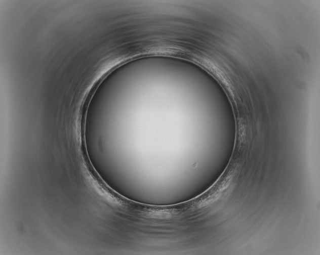 X0000111680843200907311218