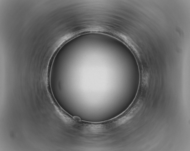 X0000111680845200907311218