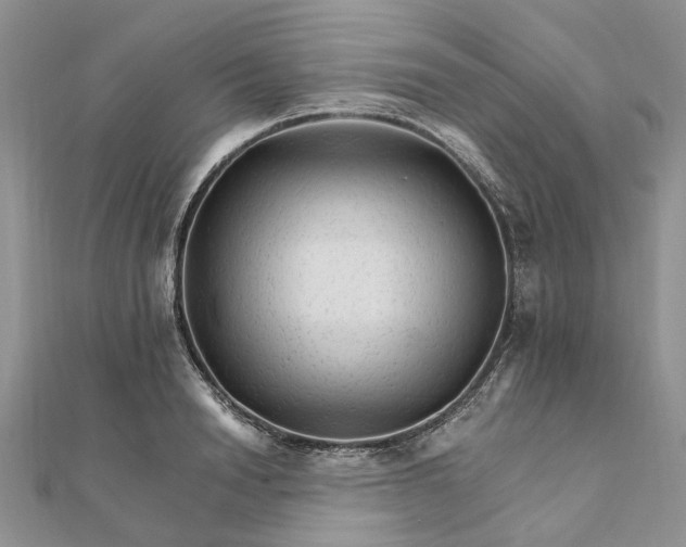 X0000111680846200907311218