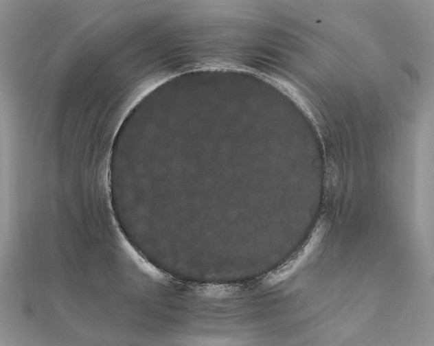 X0000111680847200907311218