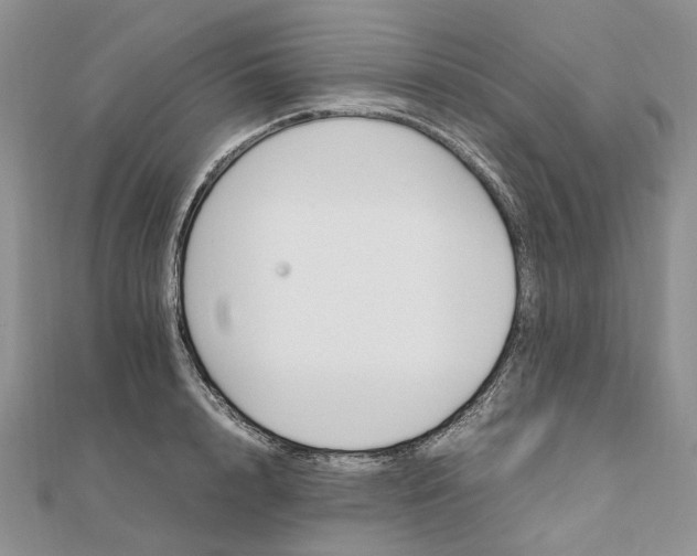 X0000111680848200907311218