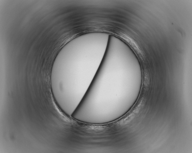 X0000111680849200907311218