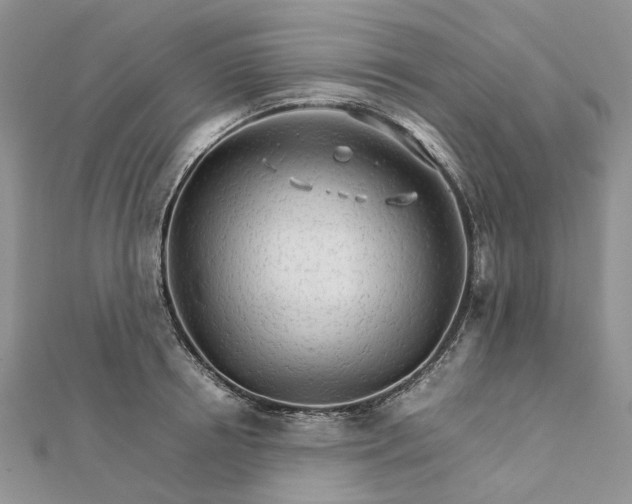 X0000111680850200907311218