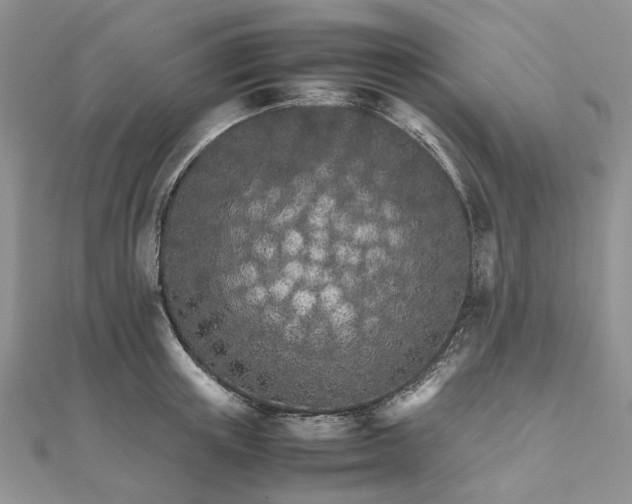 X0000111680851200907311218