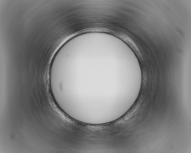 X0000111680852200907311218