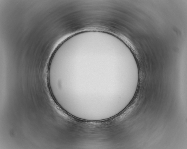 X0000111680854200907311218