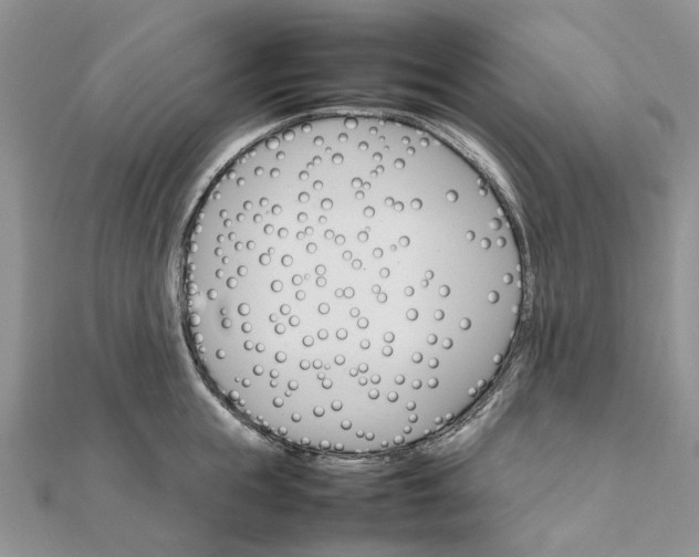 X0000111680855200907311218