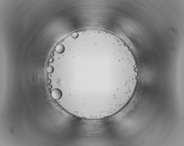 X0000111680856200907311218