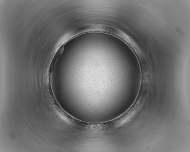 X0000111680858200907311218