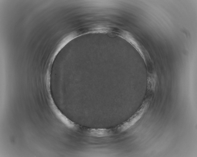 X0000111680859200907311218