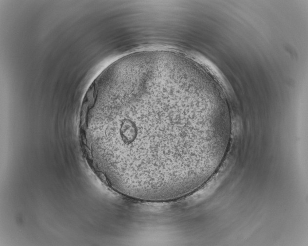 X0000111680860200907311218