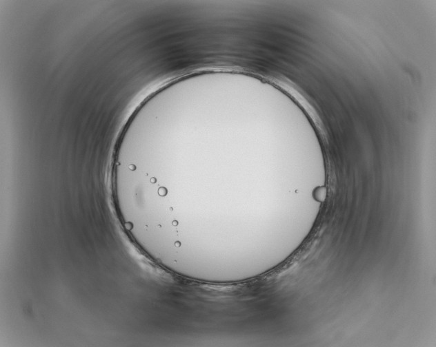 X0000111680861200907311218