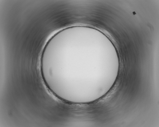 X0000111680862200907311218