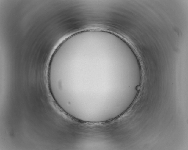 X0000111680864200907311218