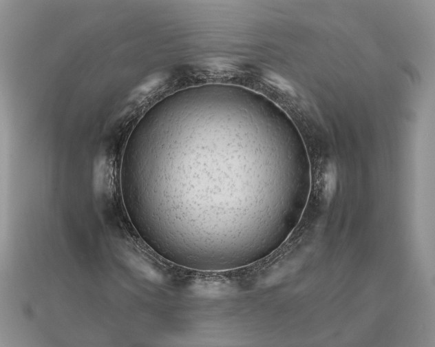 X0000111680866200907311217