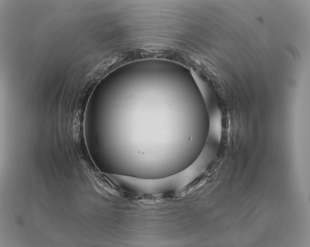 X0000111680868200907311217