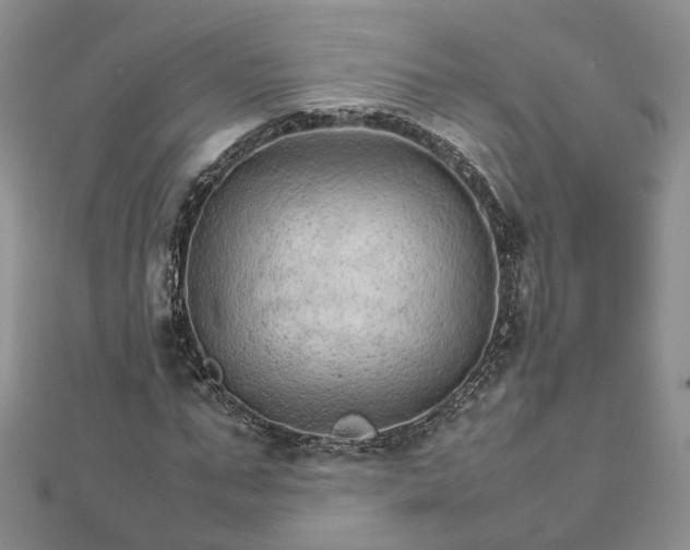 X0000111680871200907311217