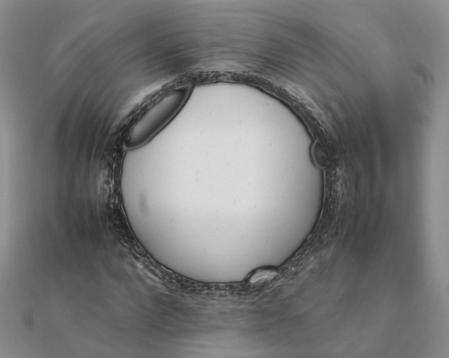 X0000111680872200907311217